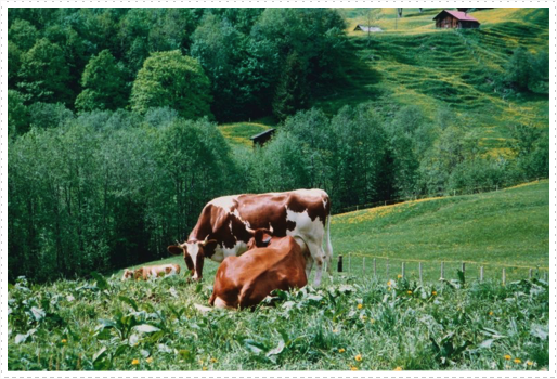 Europe Trip 1999 for Henning's wedding on June 5, 1999 Europe Trip 1999 for Henning's wedding on June 5, 1999